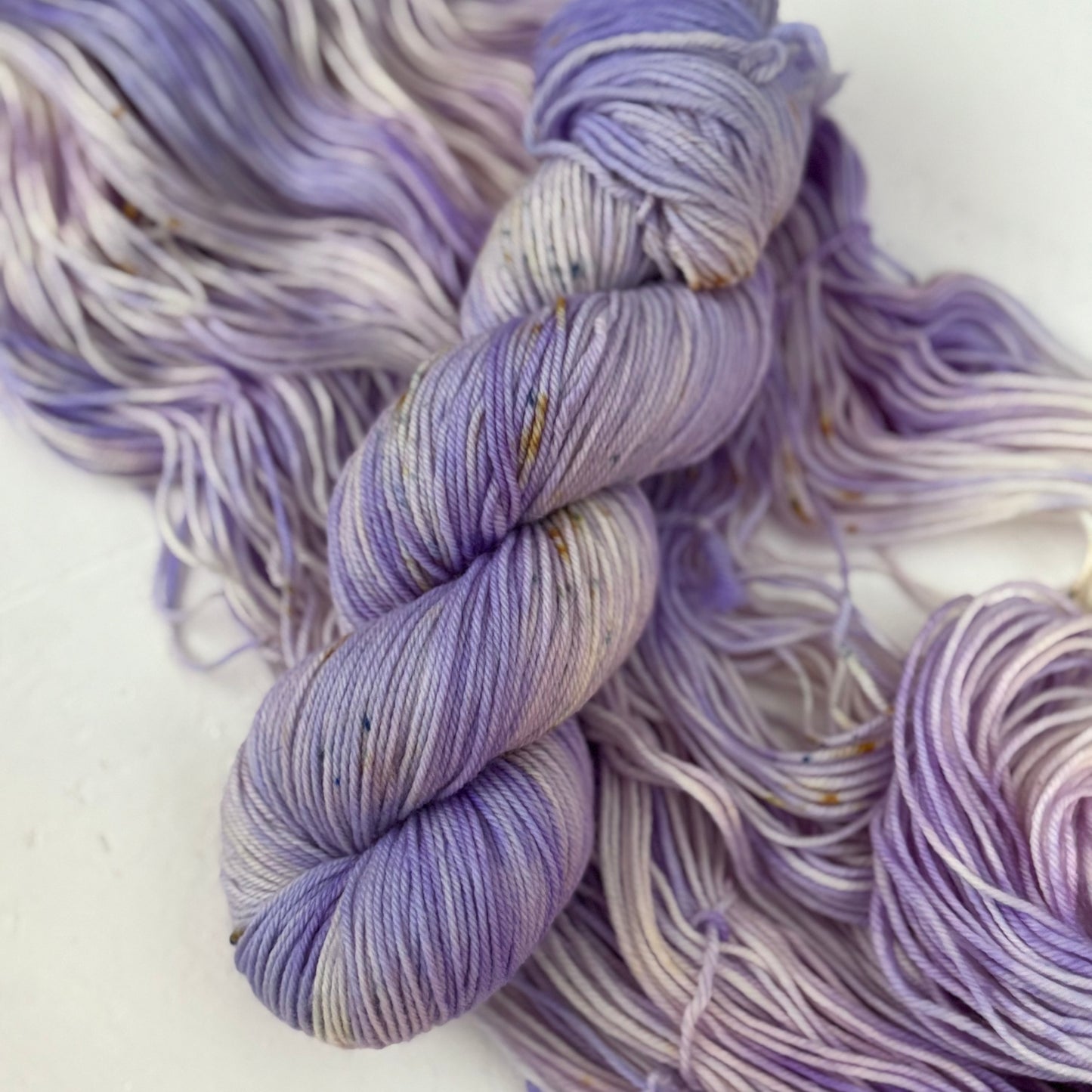 Autumn Aster