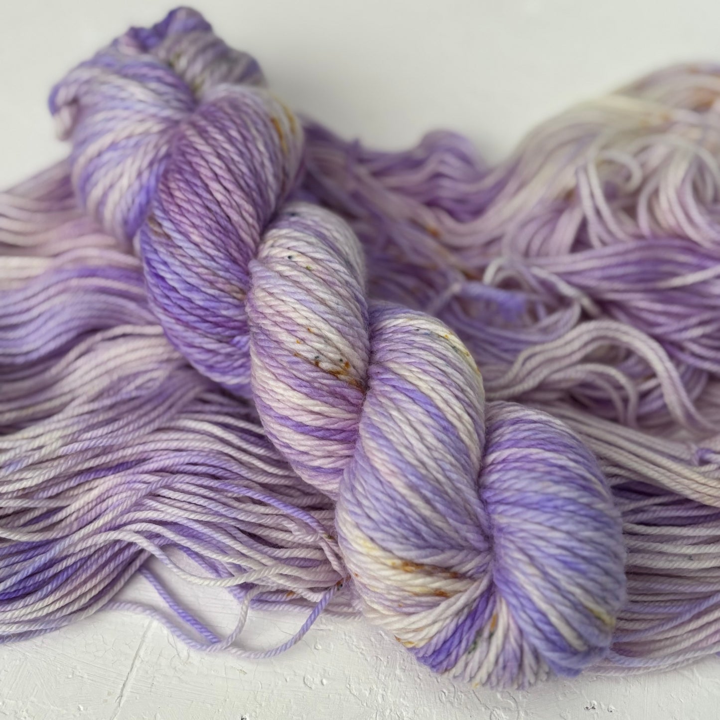 Autumn Aster