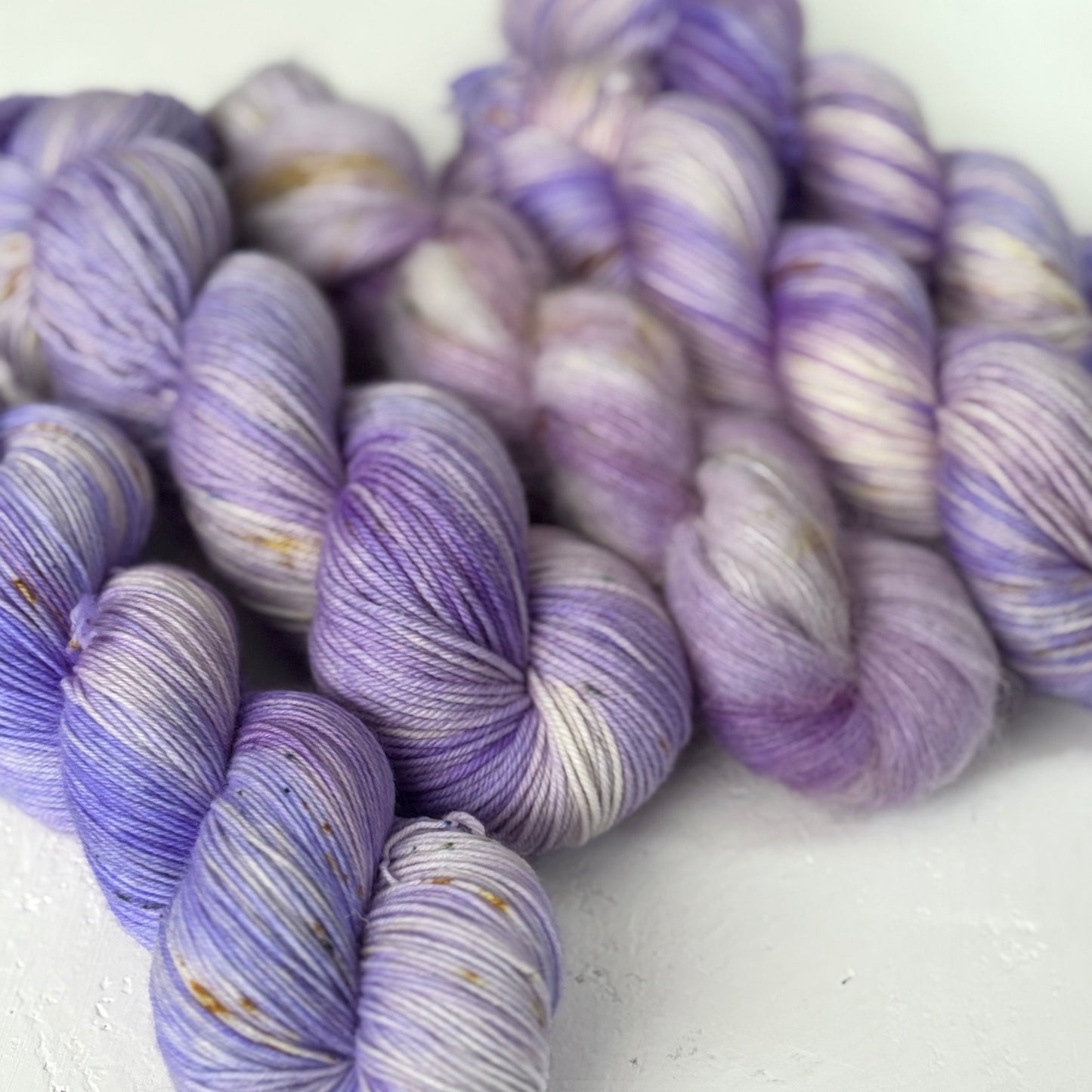 Autumn Aster