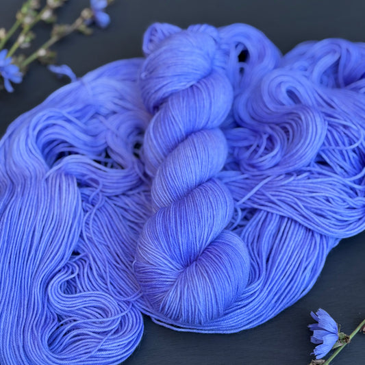 Chicory (Sweater Quantity)