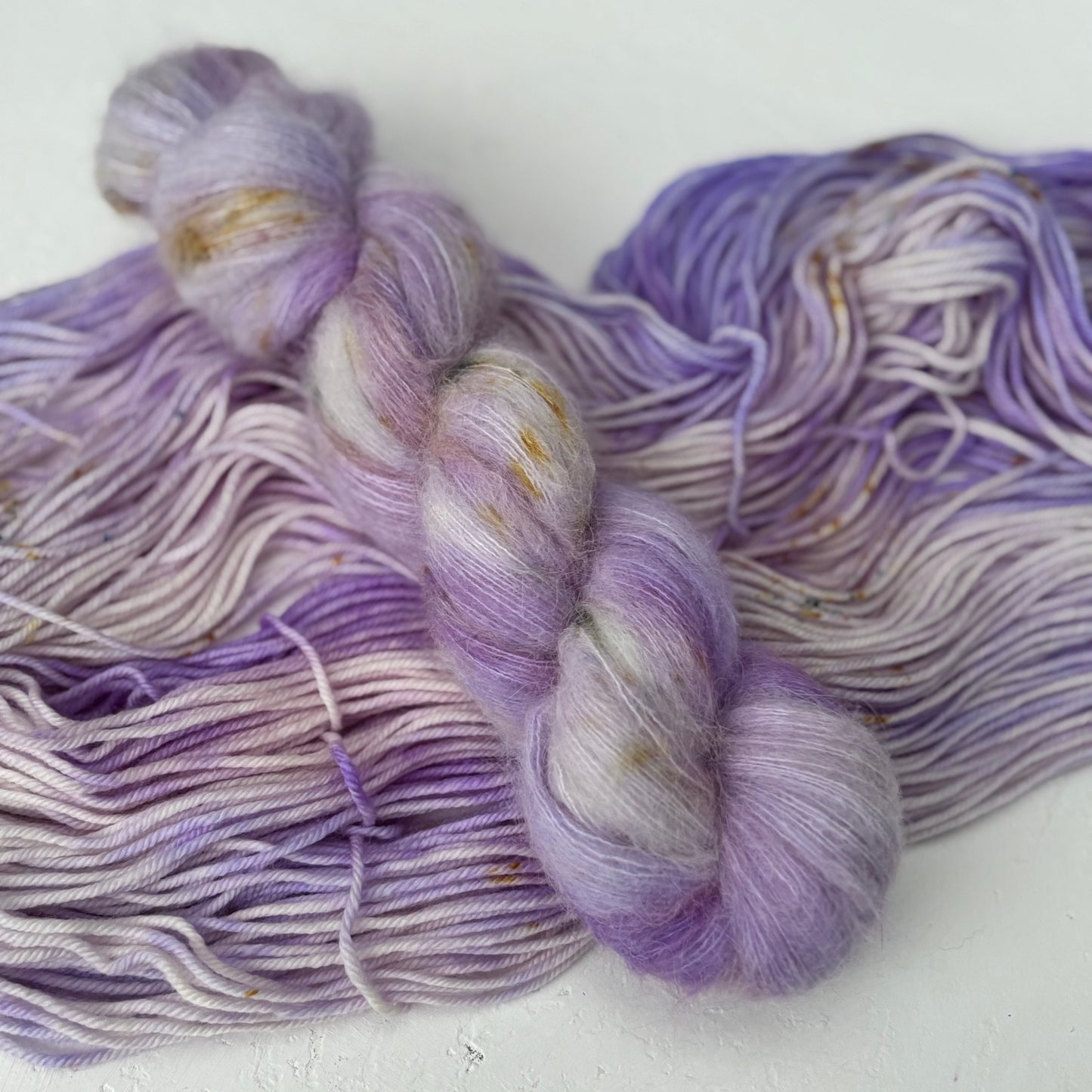Autumn Aster
