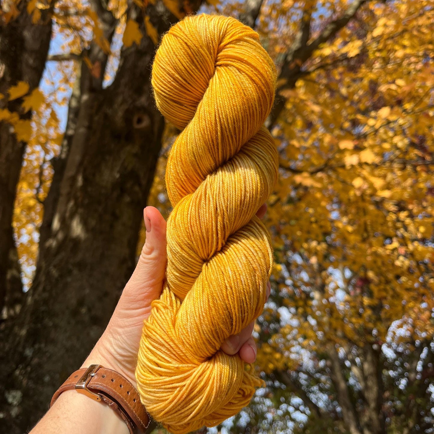 Slightly Crunchy Leaves
