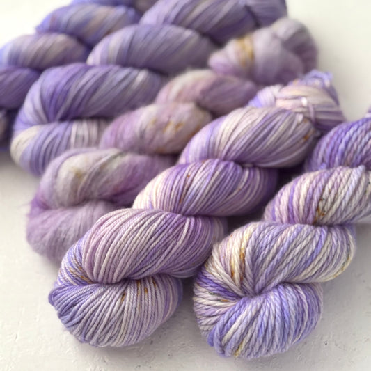 Autumn Aster