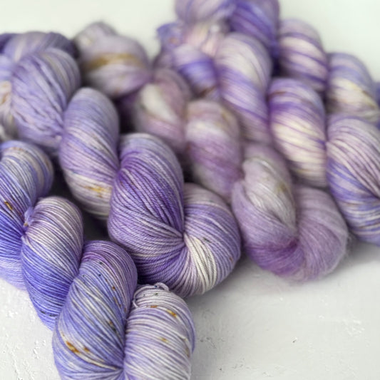 Autumn Aster