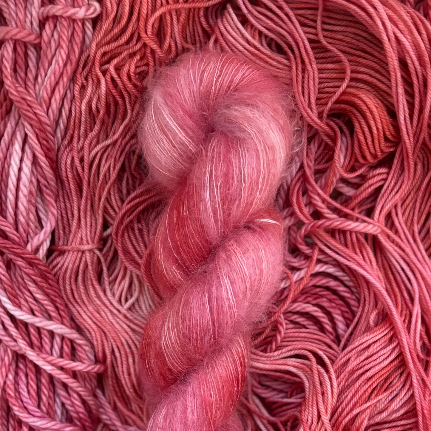 Gladiolus (Sweater Quantity)