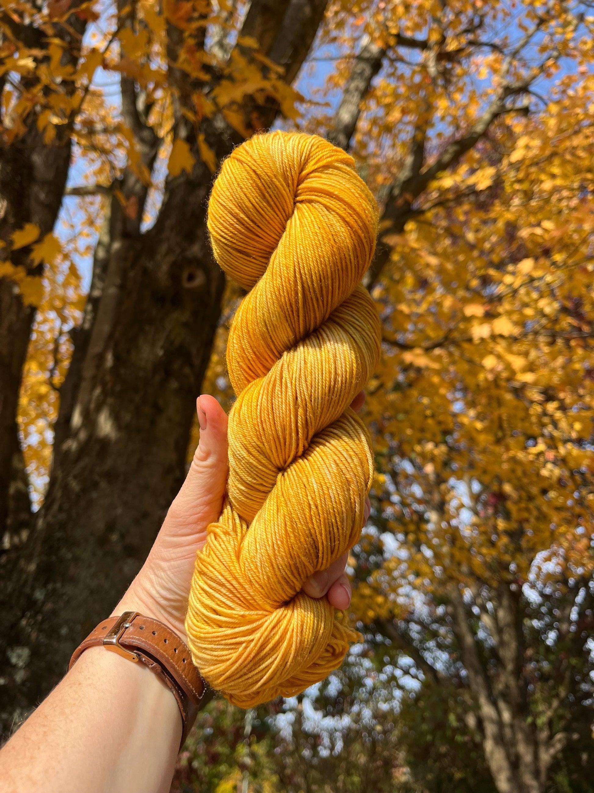 A skein of sock weight  hand dyed variegated yellow and gold wool yarn with an autumn tree in the background.