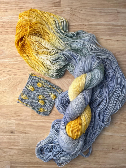 A skein and knit swatch of pale blue and yellow hand dyed merino wool yarn designed for assigned pooling.