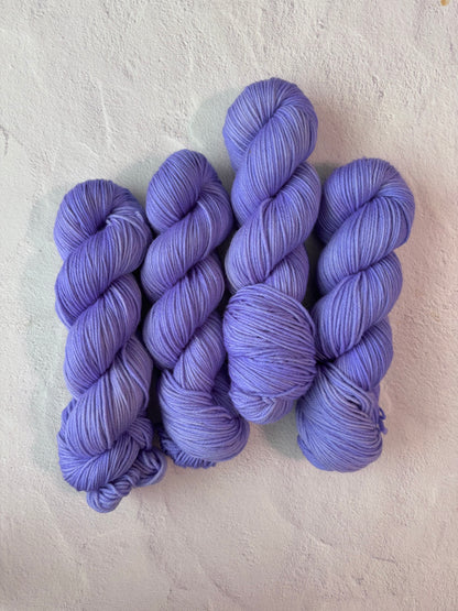 Chicory - Merino DK Seconds