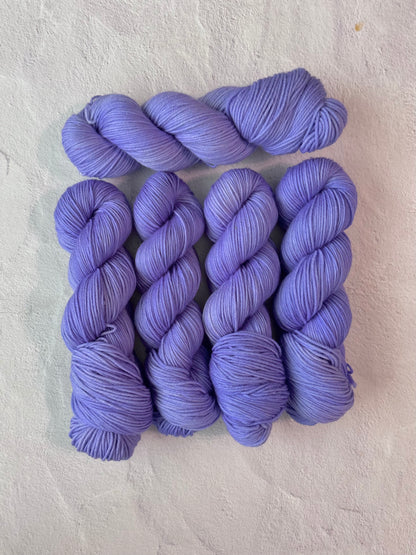 Chicory - Merino DK Seconds